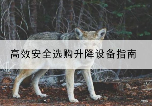 古浪升降货梯厂家推荐-*安全选购升降设备指南