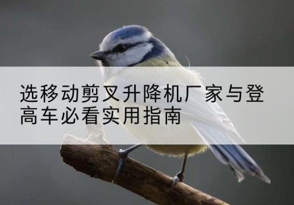 古浪电动升降机厂家-选移动剪叉升降机厂家与登高车必看实用指南